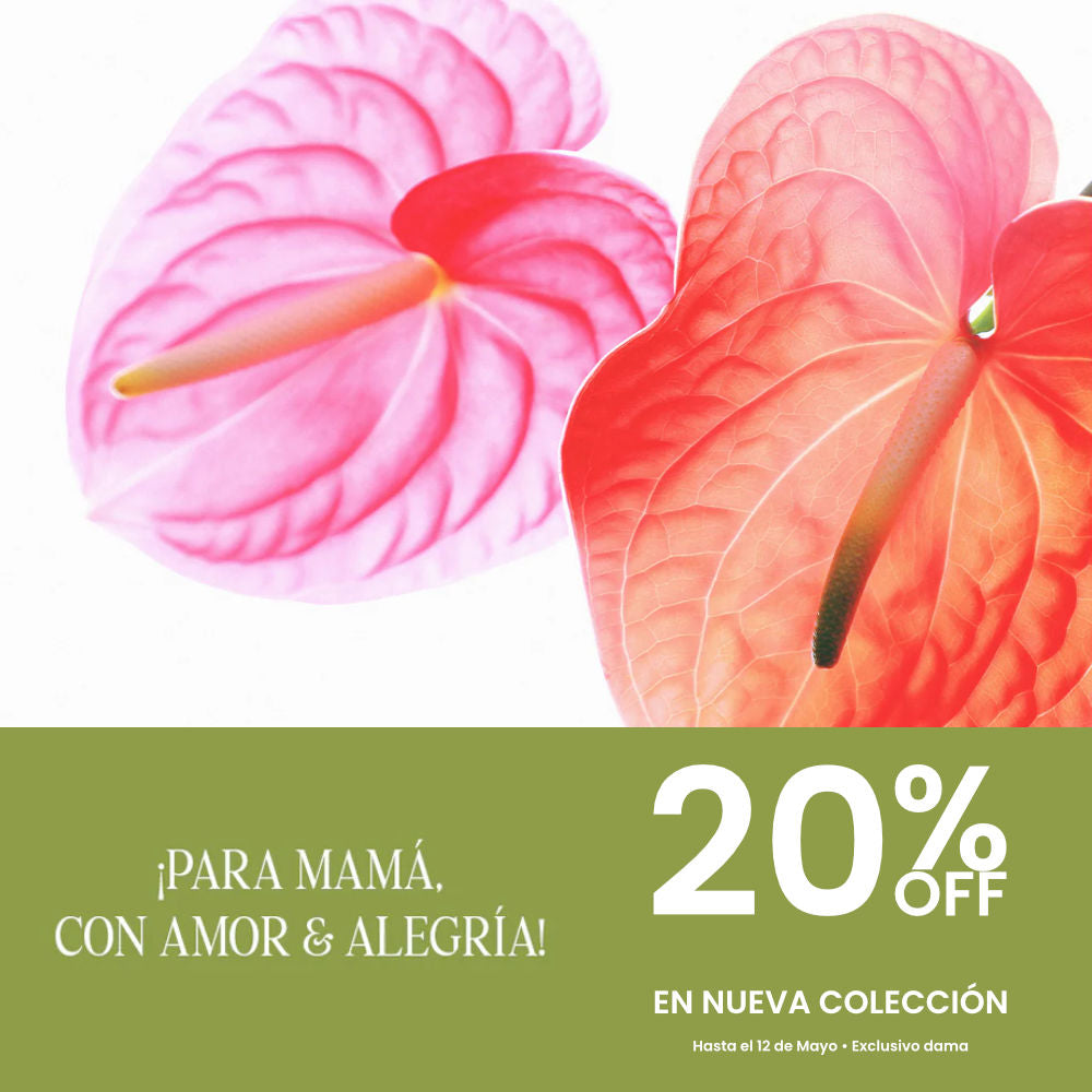 Imagen de diapositiva